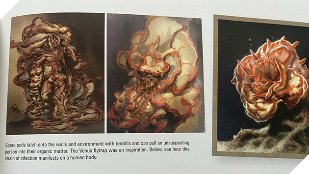 The Last of Us: Tầm quan trọng của Bào tử Nấm Cordyceps với cốt truyện thương hiệu 6