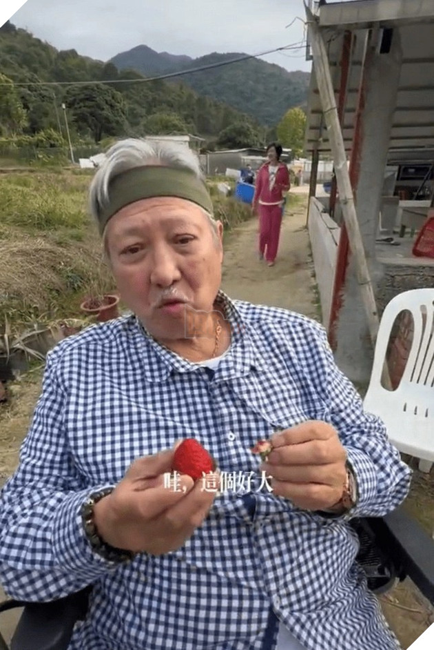 Ngôi sao võ thuật Hồng Kim Bảo khỏe khoắn ở tuổi 71 khiến người hâm mộ vui mừng