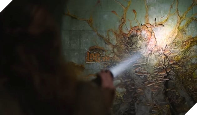 The Last of Us HBO: Nguồn gốc của ký sinh nấm Cordyceps ngoài đời thật 2