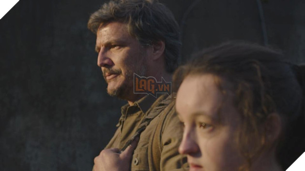 Google đu trend The Last of Us, lây nhiễm nấm Cordyceps ngập màn hình máy tính