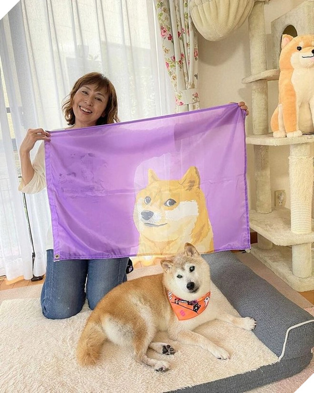 Cuộc sống quá khứ đầy biến cố của chú chó được chế meme nhiều bậc nhất thế giới