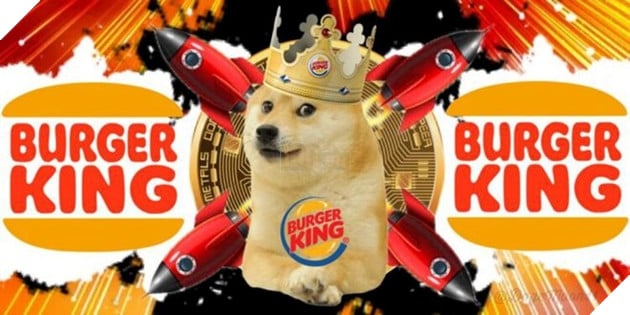 Cuộc sống quá khứ đầy biến cố của chú chó được chế meme nhiều bậc nhất thế giới