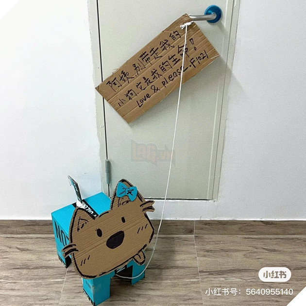 sinh viên tự làm dàn thú cưng bằng giấy cực sáng tạo