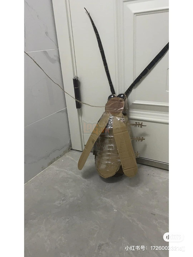 sinh viên tự làm dàn thú cưng bằng giấy cực sáng tạo