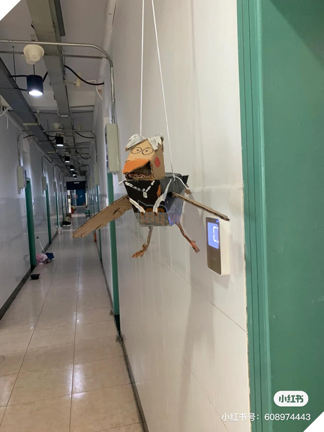 sinh viên tự làm dàn thú cưng bằng giấy cực sáng tạo