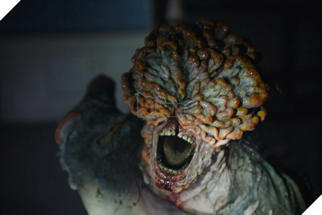 Sau The Last of Us, chúng ta sẽ không còn nhìn thấy nấm theo một cách thông thường nữa