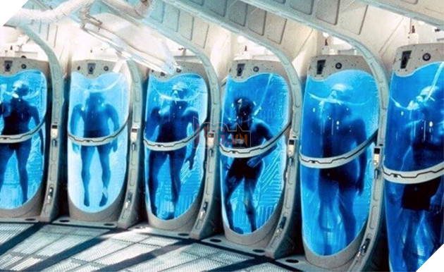 Quá trình cấp đông người mất ... chờ ngày hồi sinh sẽ ra sao? 