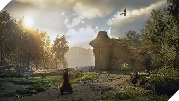 Hogwarts Legacy: Cài đặt Settings đồ hoạ tốt nhất cho AMD Radeon RX 6800 XT 3