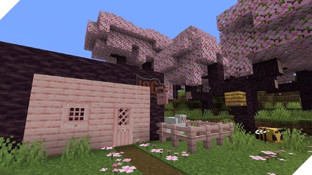 Hoa anh đào sẽ được thêm vào Minecraft 1.20