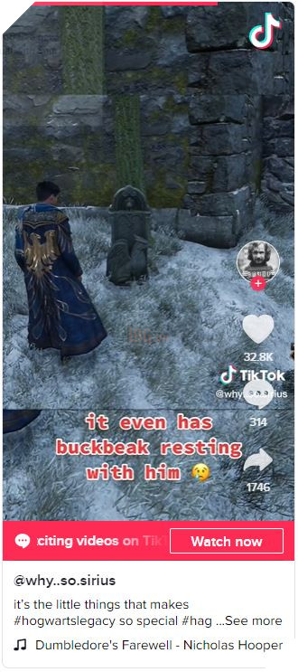 Hogwarts Legacy chứa đựng chi tiết nhỏ tri ân cố diễn viên thủ vai Hagrid 2