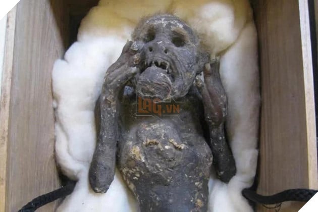 Xác ướp nàng tiên cá - Thực hư về một trong những bí ẩn lớn nhất trong lịch sử của Nhật Bản
