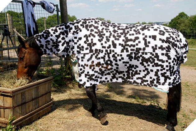 Tại sao ngừa vằn lại có sọc? 