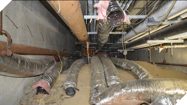 Một giáo viên trung học bị bắt vì đào coin trái phép tại trường