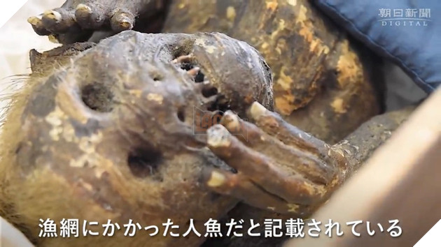 Bí ẩn về xác ướp "nàng tiên cá" 300 năm tuổi ở Nhât Bản đã được lý giải 