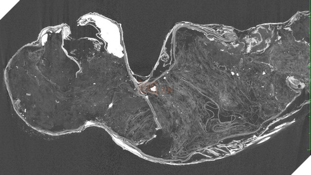 Bí ẩn về xác ướp "nàng tiên cá" 300 năm tuổi ở Nhât Bản đã được lý giải 