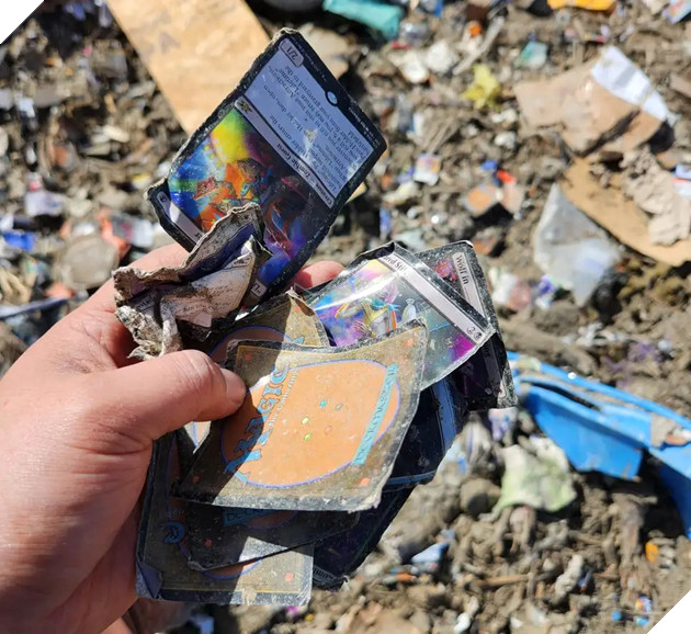 Phát hiện bộ thẻ bài giá 6 tỷ đồng ngoài bãi rác mà không biết