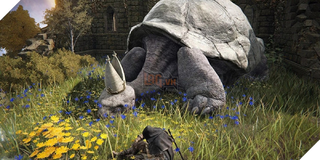 Elden Ring gần như biến thành một game MMORPG với bản Mod mới 2