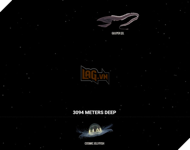 Khám phá những sinh vật dưới lòng đại dương vô cùng đơn giản ngay trên trình duyệt web