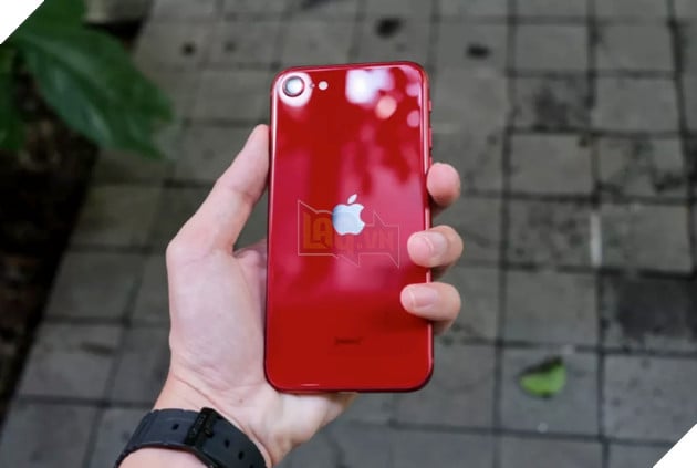 iPhone SE 4 của Apple sẽ sử dụng màn hình OLED từ nhà cung cấp Trung Quốc thay vì Samsung hay LG