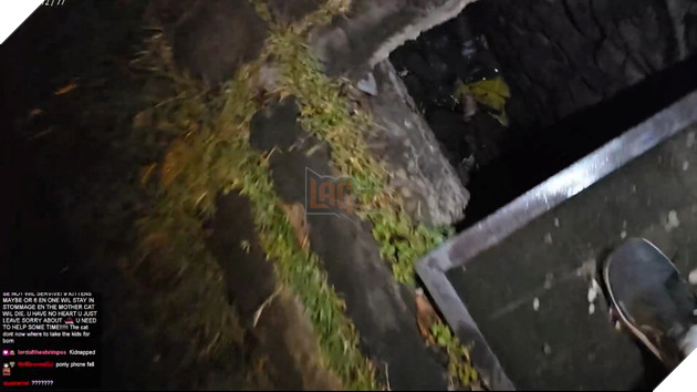 Đang livestream thì lọt hố, cô nàng streamer khiến người xem lo sốt vó