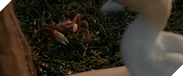 Disney tung trailer mới cho Nàng Tiên Cá, khán giả lại chê vì diễn viên chính quá mờ nhạt