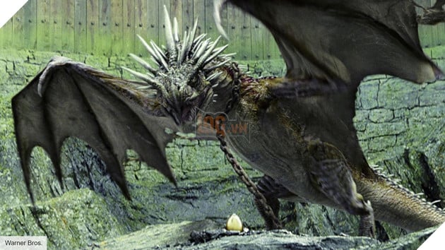 Đây là nhân vật có thể khiến cho phe Voldemort gặp khó khăn