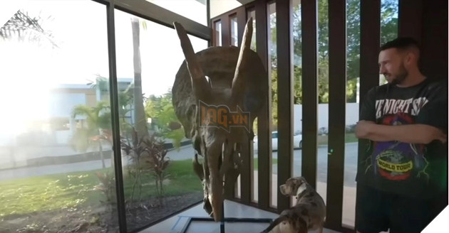 Mua hộp sọ khủng long giá 12 tỷ đồng, Youtuber Logan Paul lại gây tranh cãi kịch liệt 2