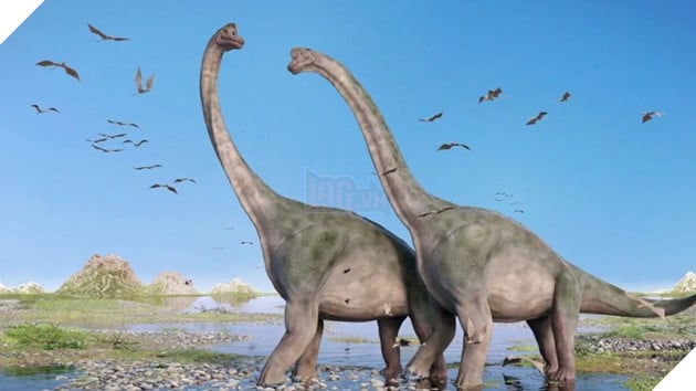 Phát hiện mới tiết lộ bí mật loài khủng long cổ dài, kích thước cổ hơn cả xe buýt