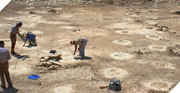 Phát hiện mới tiết lộ bí mật loài khủng long cổ dài, kích thước cổ hơn cả xe buýt