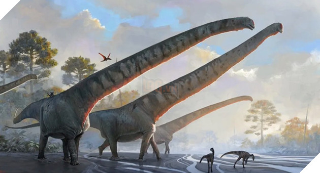 Phát hiện mới tiết lộ bí mật loài khủng long cổ dài, kích thước cổ hơn cả xe buýt