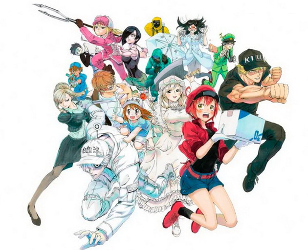 Bộ anime Cells at Work! sẽ sớm có bản phim Live Action cùng cốt truyện hoàn toàn khác biệt 2