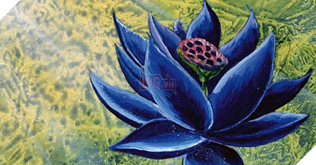 Một thẻ bài được bán với giá gần 13 tỷ đồng, bạn có tin được không? 3