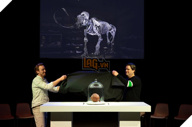 Công ty khởi nghiệp thực phẩm Úc tạo ra viên thịt từ voi ma mút đã tuyệt chủng