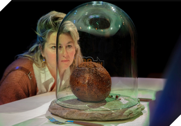 Công ty khởi nghiệp thực phẩm Úc tạo ra viên thịt từ voi ma mút đã tuyệt chủng