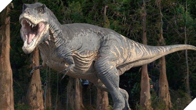 Bộ xương T-Rex hơn 67 triệu năm tuổi sắp được bán đấu giá vào tháng sau