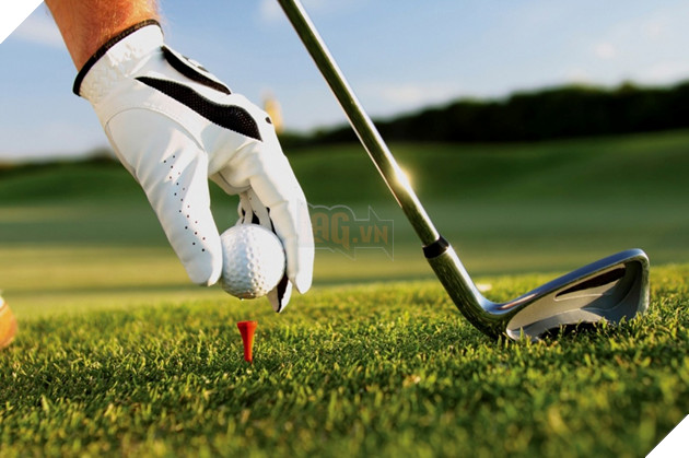 Hogwarts Legacy công bố bản DLC đưa môn thể thao yêu thích của giới phù thủy vào game 3