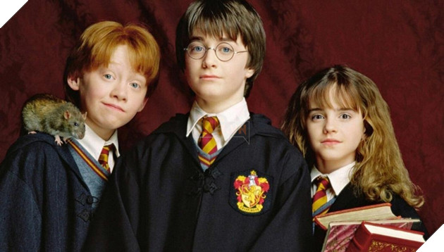 Harry Potter là gì