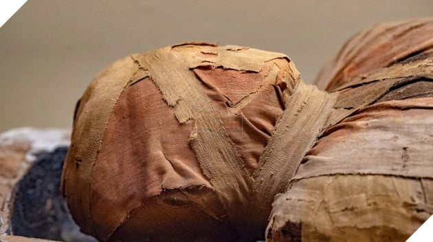 Xác ướp từ thế kỷ 19 mọc nấm đang trưng bày tại Mexico có thể lây sang người