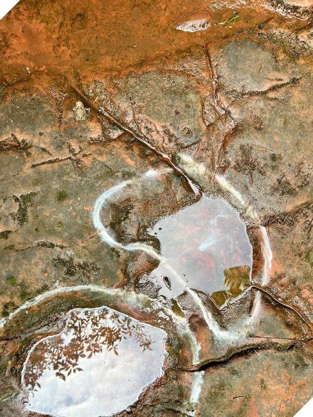 Phát hiện loạt dấu chân khủng long cổ dài 100 triệu năm tuổi tại nhà hàng Trung Quốc