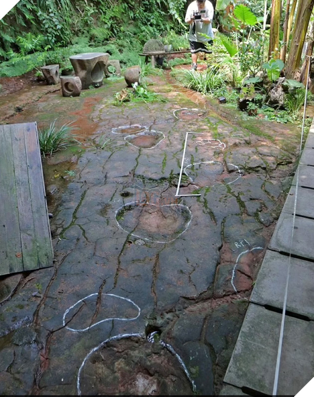 Phát hiện loạt dấu chân khủng long cổ dài 100 triệu năm tuổi tại nhà hàng Trung Quốc