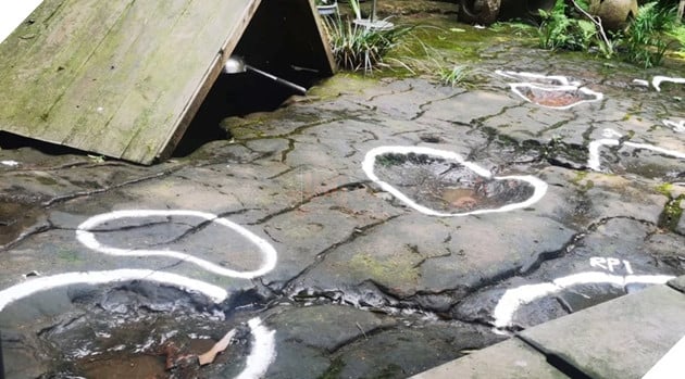 Phát hiện loạt dấu chân khủng long cổ dài 100 triệu năm tuổi tại nhà hàng Trung Quốc