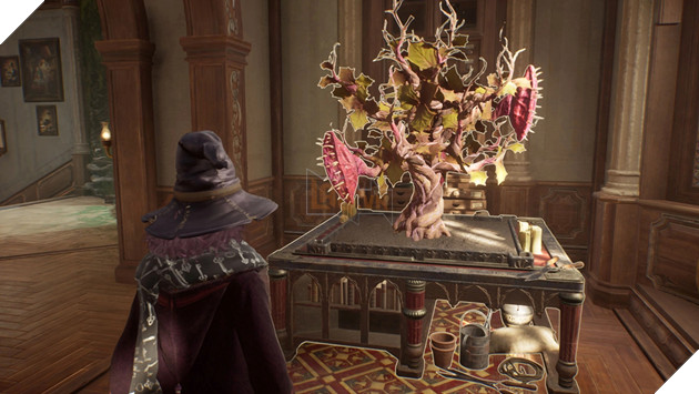 Game thủ dành 140 giờ chơi Hogwarts Legacy và phát hiện ra một nhân vật kì lạ chưa được hé lộ trước đây 2