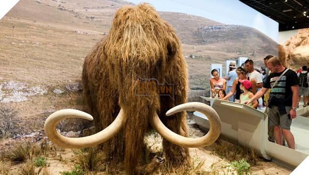 Khám phá quá trình tiến hoá về biểu tượng của Kỷ băng hà 2