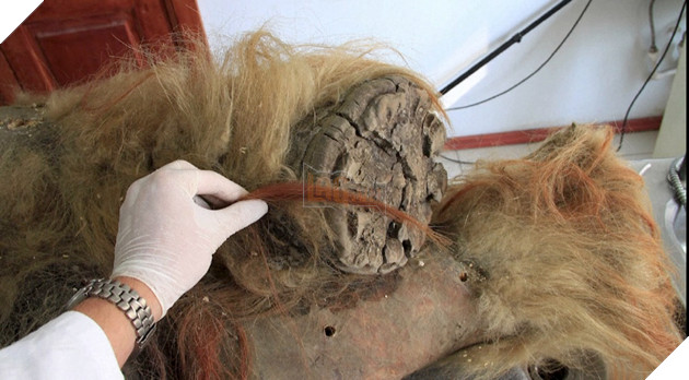 Khám phá quá trình tiến hoá về biểu tượng của Kỷ băng hà 3