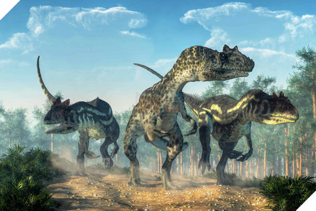 Hóa thạch hổ phách tiết lộ khủng long và bọ cánh cứng có mối quan hệ cộng sinh