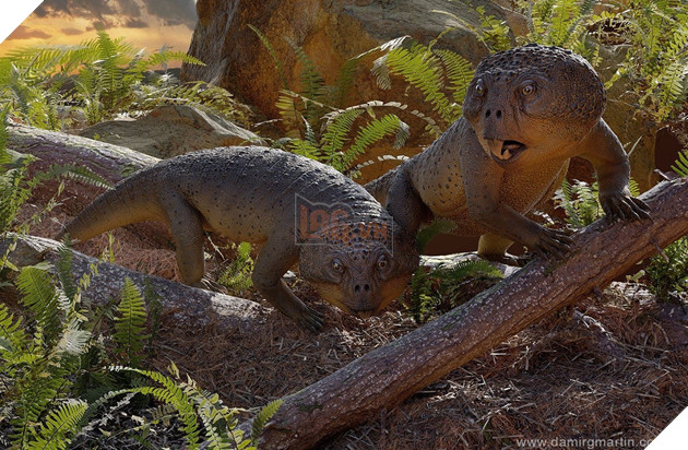 Khai quật hoá thạch loài bò sát 230 triệu năm tuổi, "lai" giữa cá sấu và chim 