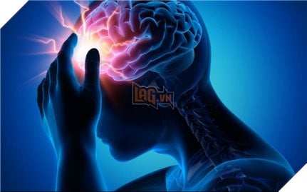 Nhựa bao bì thực phẩm được tìm thấy trong não sau hai giờ ăn phải 