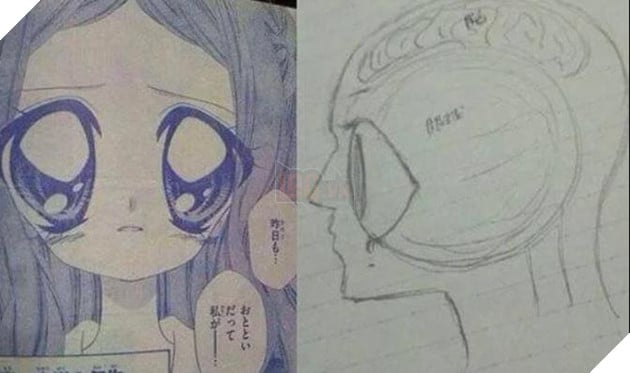 meme sai tỉ lệ nhân vật manga