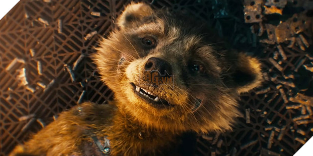 James Gunn chia sẻ những thông tin bất ngờ về Rocket trong Guardians of The Galaxy 3 2