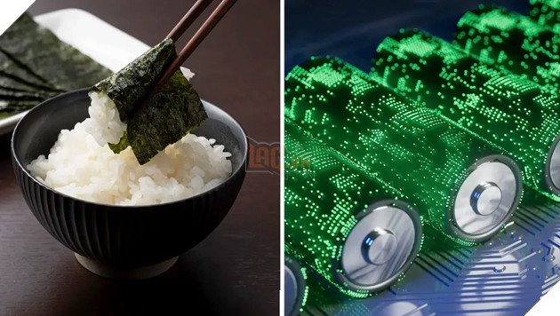 Phát minh thành công pin ăn được, mở đường cho sáng kiến lĩnh vực y tế